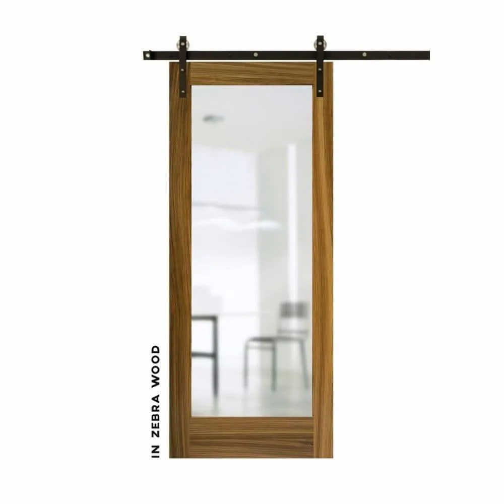 Classic Pocket Door With Mirror