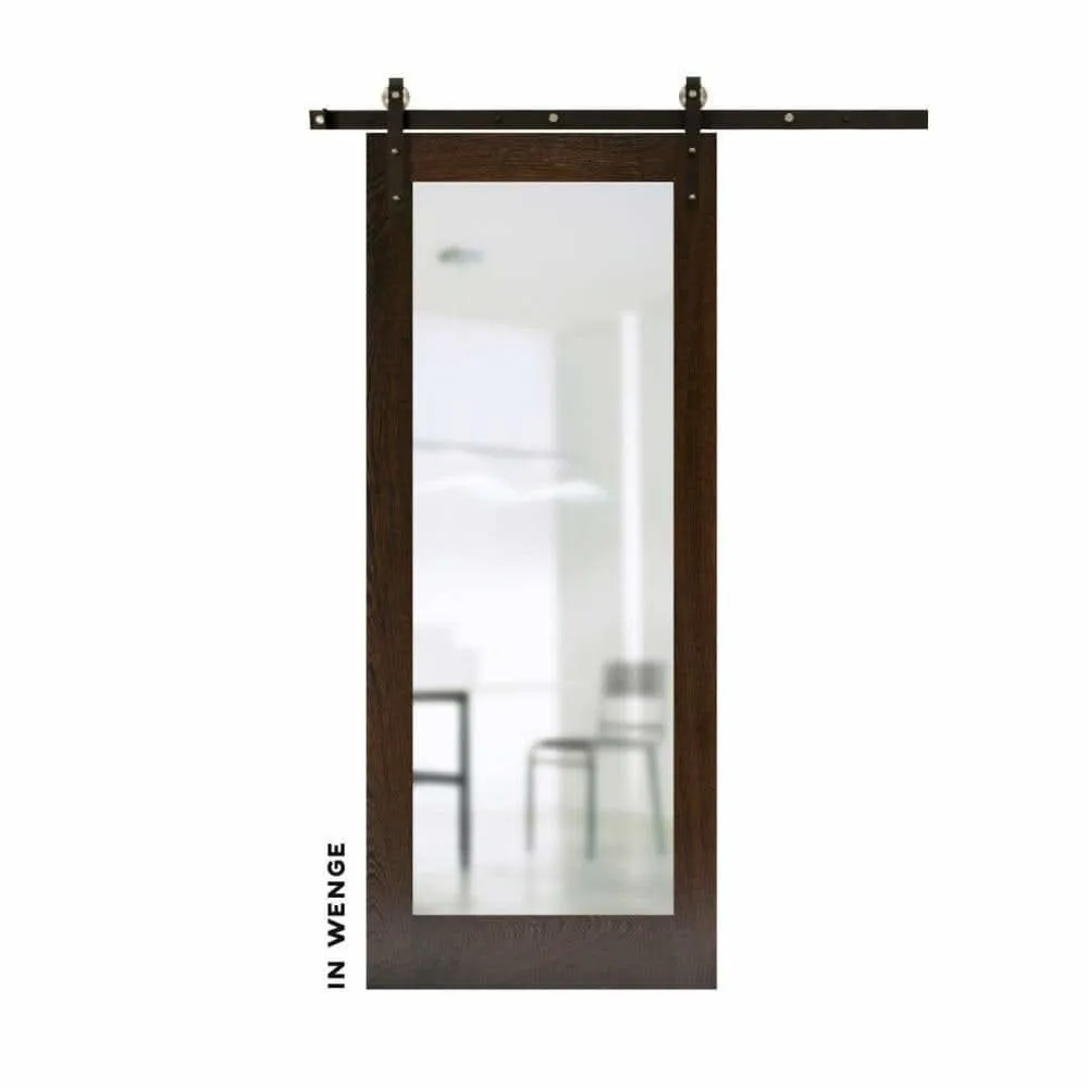 Classic Pocket Door With Mirror