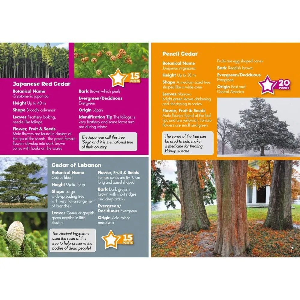 i-Spy Trees Children's Activity Book